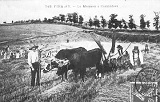 Moisson � Cambefort